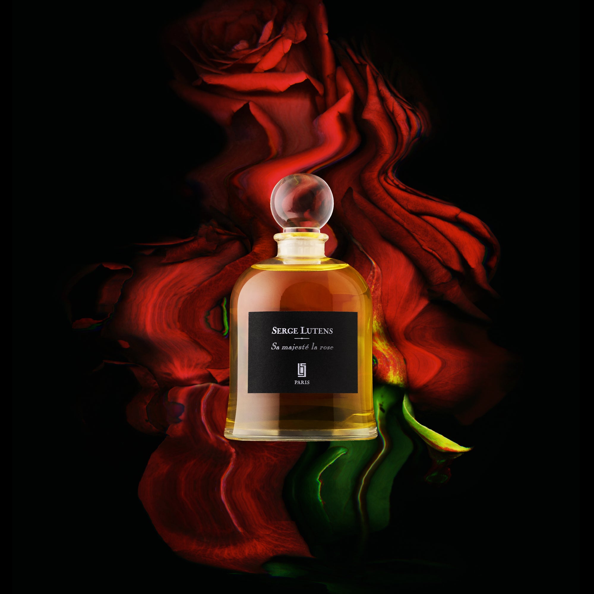 Sa majesté la rose