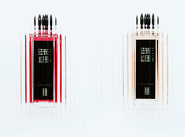 Rose de nuit | Serge Lutens – site officiel